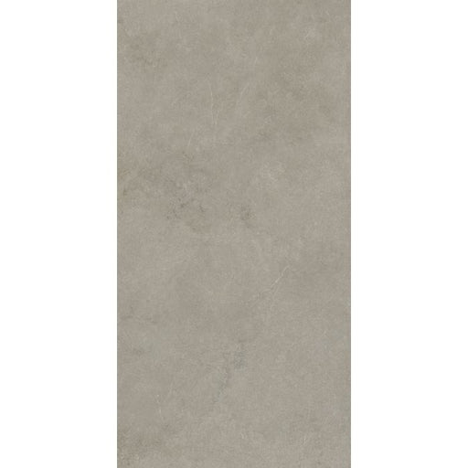 OLYMPIA TILE + STONE - Absolute Series - Porcelain Tile - Rupe - 24" x 48"