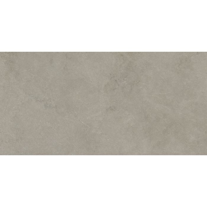OLYMPIA TILE + STONE - Absolute Series - Porcelain Tile - Rupe - 12" x 24"