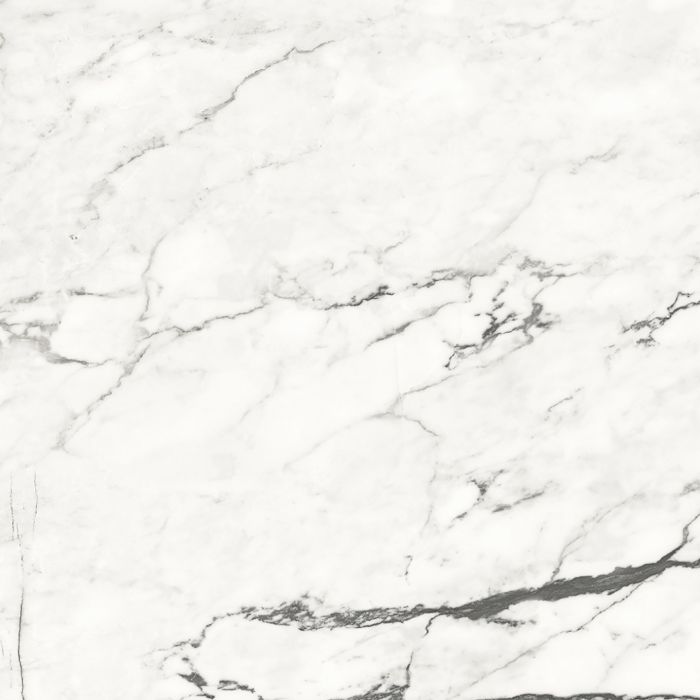 OLYMPIA TILE + STONE - Nature Series - Porcelain Tile - Statuario - 24" x 24"