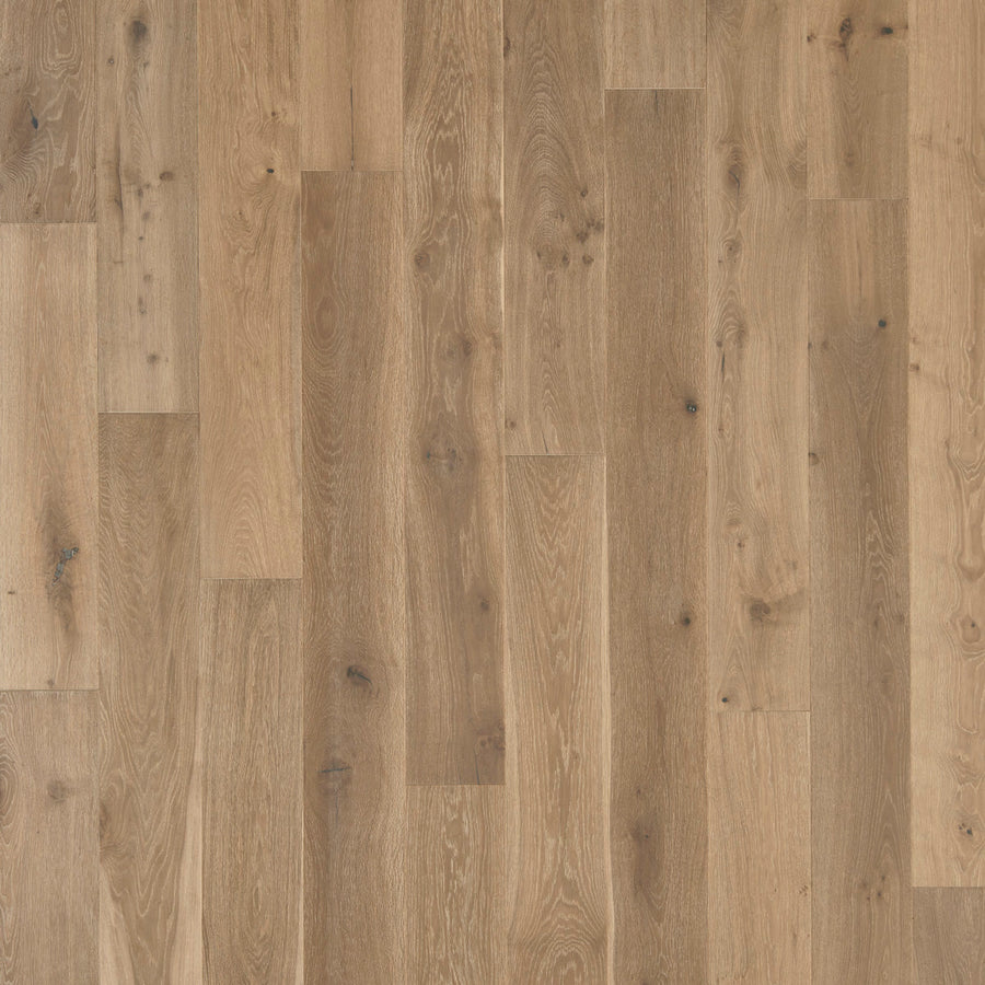 Sanctuary Dune engineered hardwood