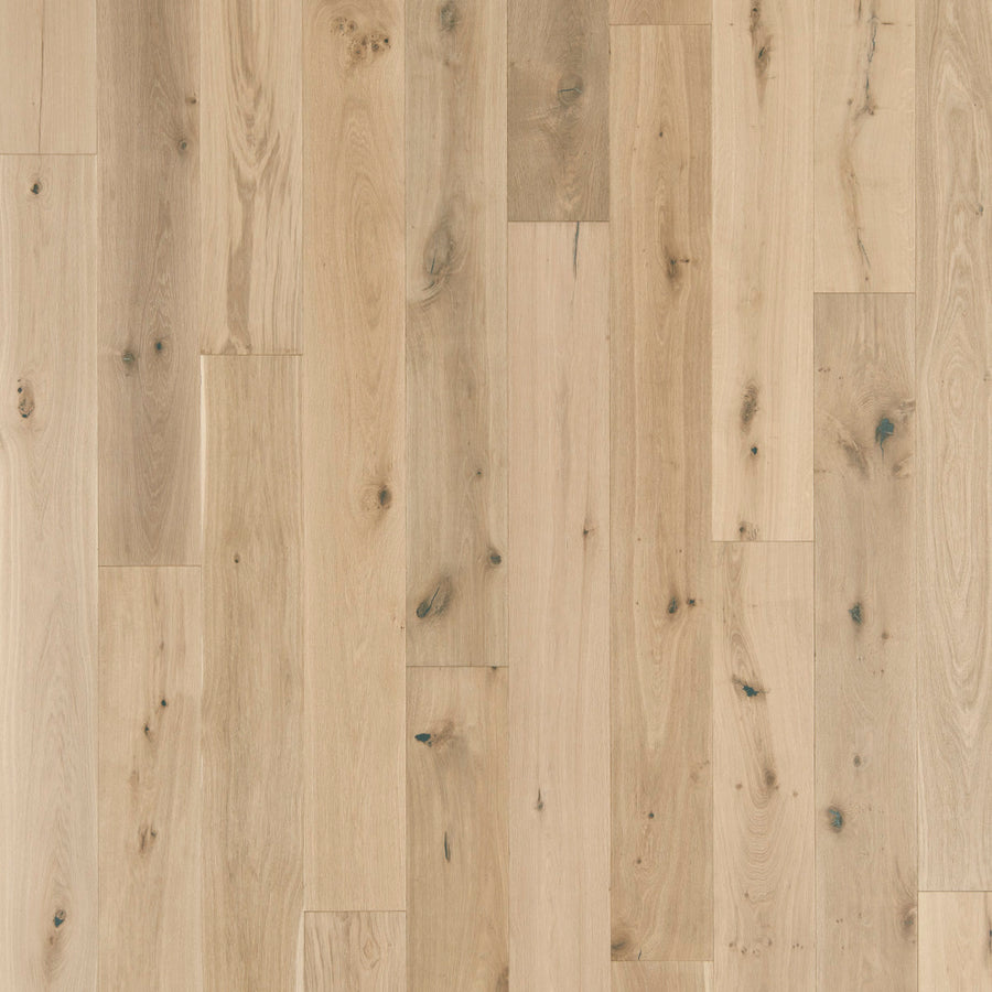 Sanctuary Shell engineered hardwood