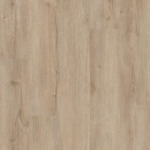 MSI Surfaces - Cyrus® 2.0TM - Sandino