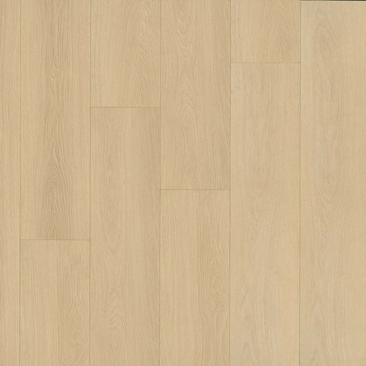 MSI - Shorecliffs™ Collection - Houston Trail - 9” x 87"