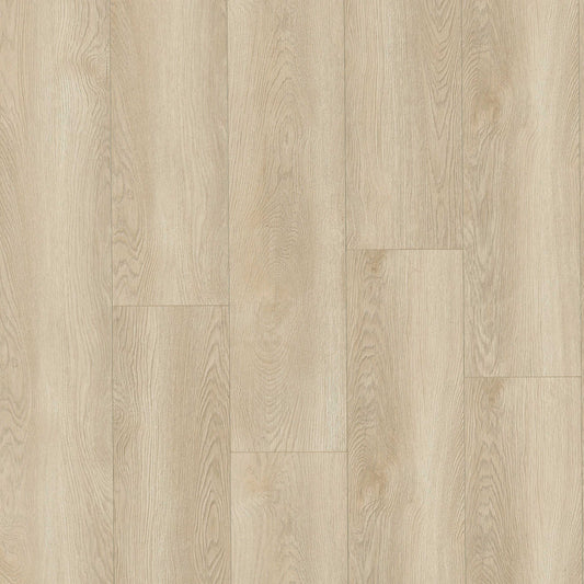 MSI - Shorecliffs™ Collection - Schertz Oaks - 9” x 87"