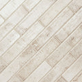 MSI - STELLA BISCOTTI  GLOSSY - Tile - 2" x 10"