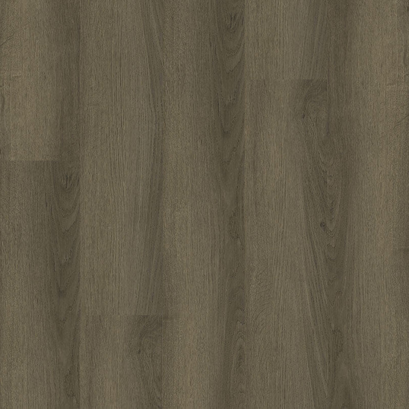 MSI Surfaces - Ashton 2.0 ™ Collection - Sunnyset