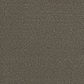 Tarkett Adorn Fancy carpet swatch