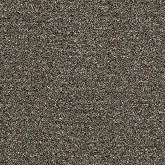 Tarkett Adorn Fancy carpet swatch