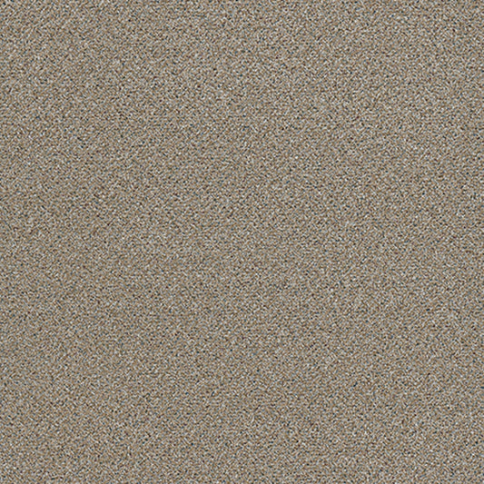 Tarkett Adorn Cherish carpet swatch