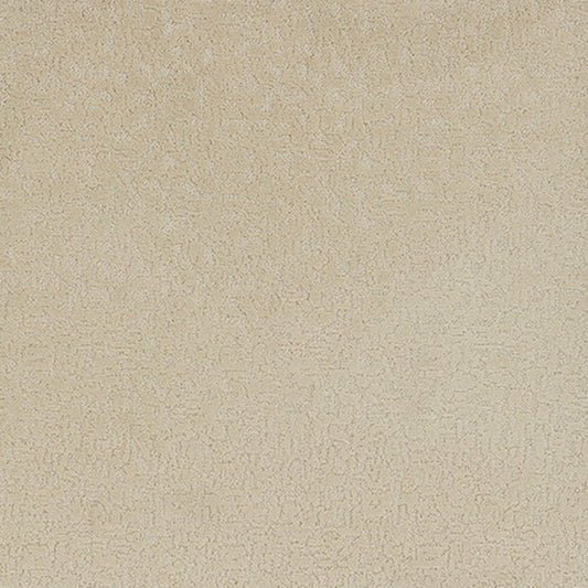 Tarkett Aesthetic Whisper carpet swatch