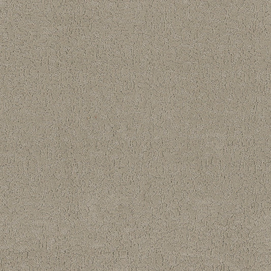 Tarkett Aesthetic Dover carpet swatch