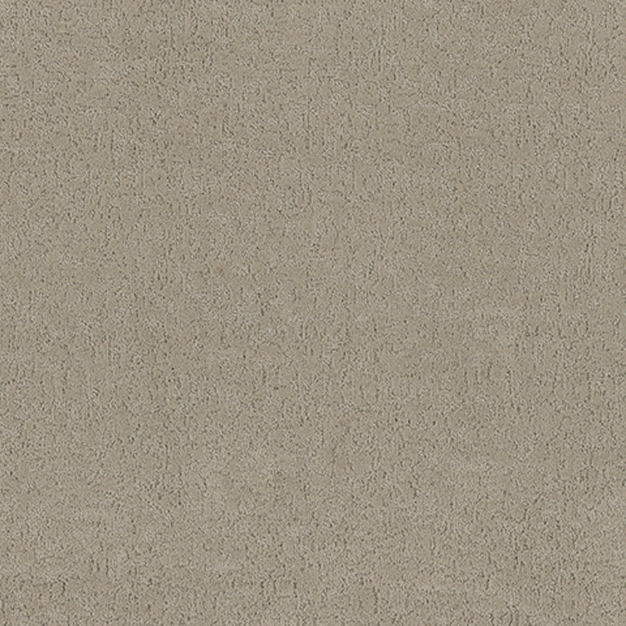 Tarkett Aesthetic Dover carpet swatch