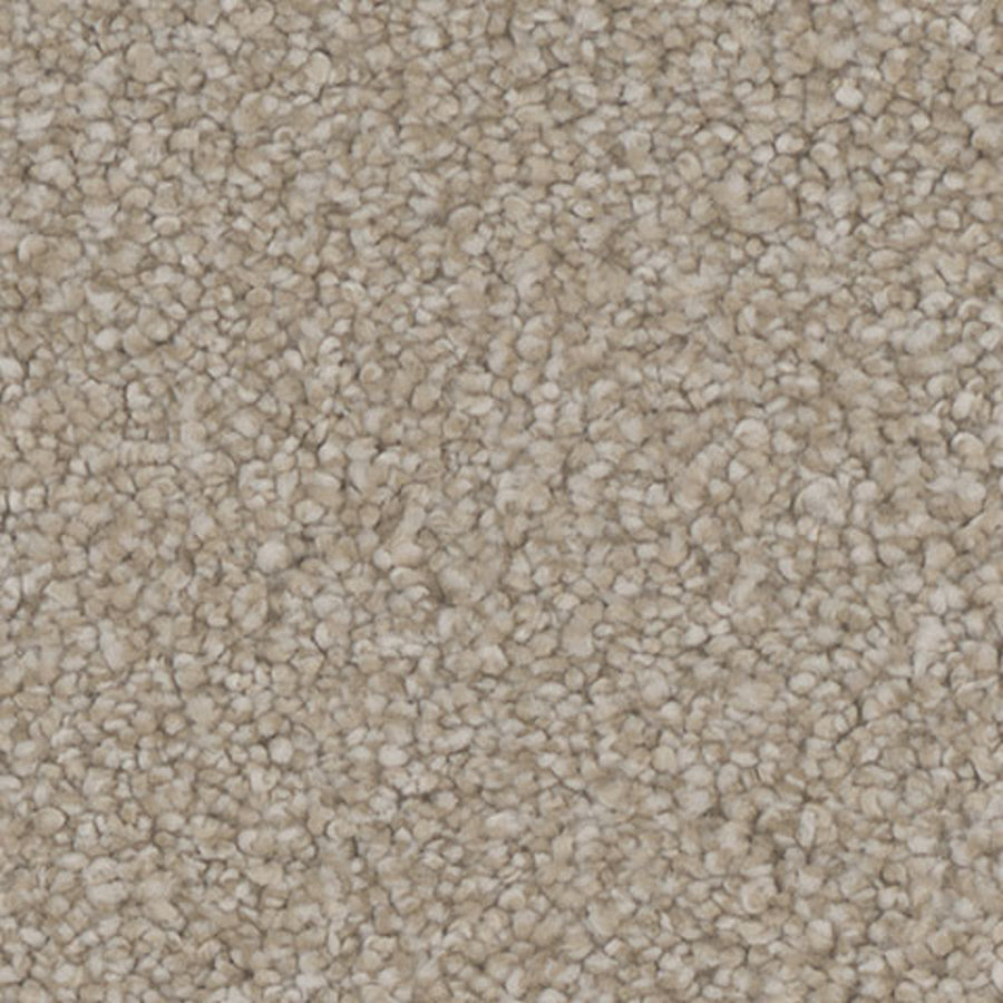 Tarkett Allure Gratify carpet swatch