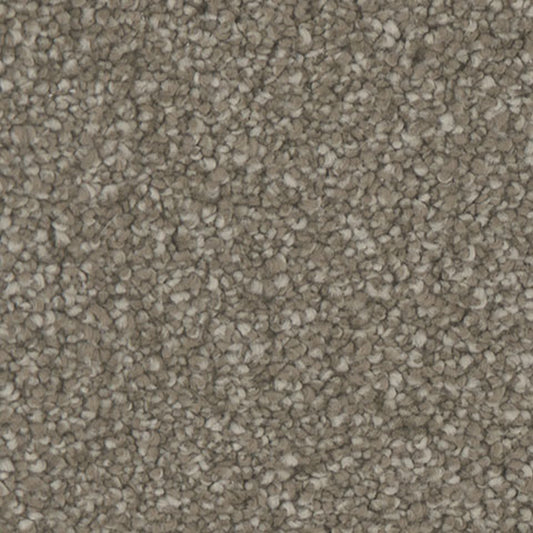 Tarkett Allure Beauty carpet swatch