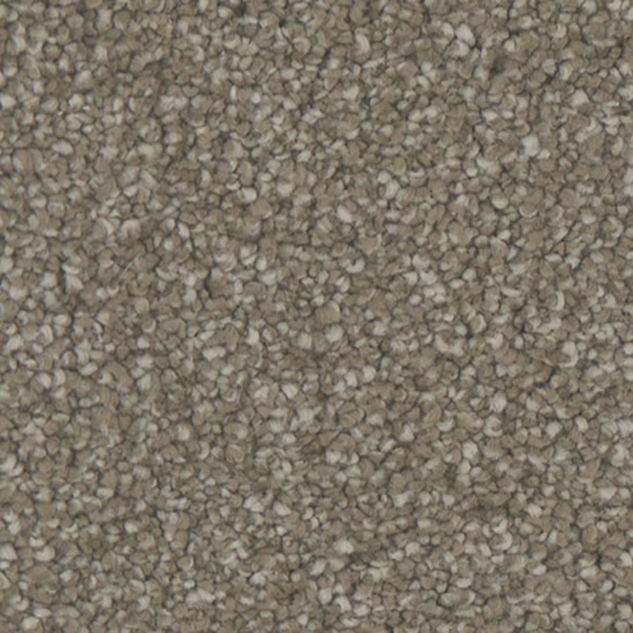 Tarkett Allure Beauty carpet swatch