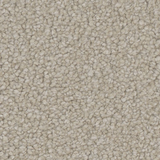 Tarkett Allure Dazzle carpet swatch