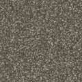 Tarkett Allure Inviting carpet swatch