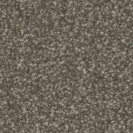 Tarkett Allure Inviting carpet swatch