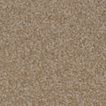 Tarkett Avalon Countryside carpet swatch