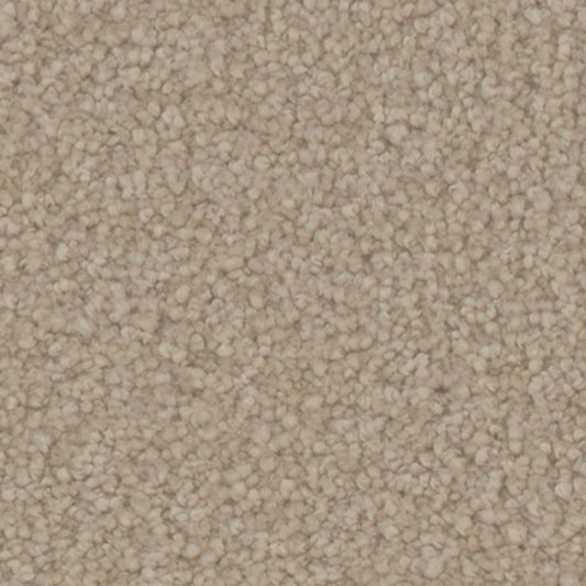 Tarkett Avalon Grove carpet swatch