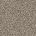 Tarkett Avalon Stable carpet swatch