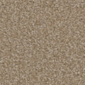 Tarkett Avalon Cottage carpet swatch