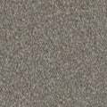 Tarkett Avalon Heritage carpet swatch