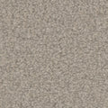 Tarkett Avalon Haven carpet swatch