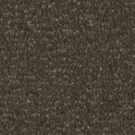 Tarkett Avalon Woodlands carpet swatch