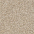 Tarkett Balmoral Townlet carpet swatch