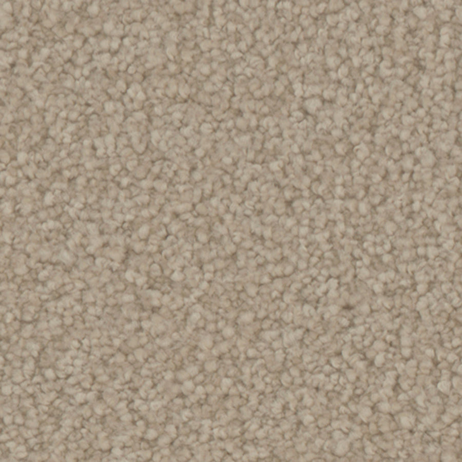 Tarkett Balmoral Grove carpet swatch