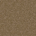 Tarkett Balmoral Treasure carpet swatch
