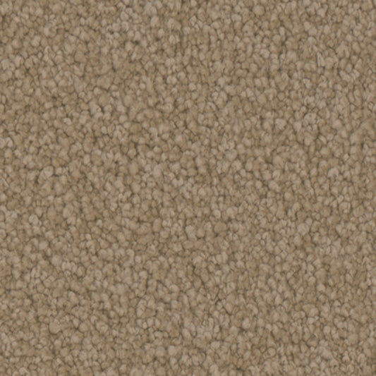 Tarkett Balmoral Gallery carpet swatch
