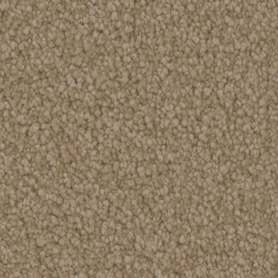 Tarkett Balmoral Gallery carpet swatch