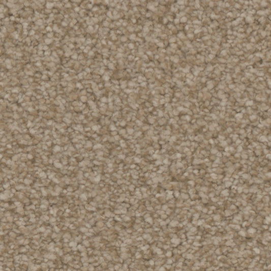 Tarkett Balmoral Cottage carpet swatch
