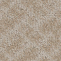 Tarkett Cheshire Storybook carpet swatch