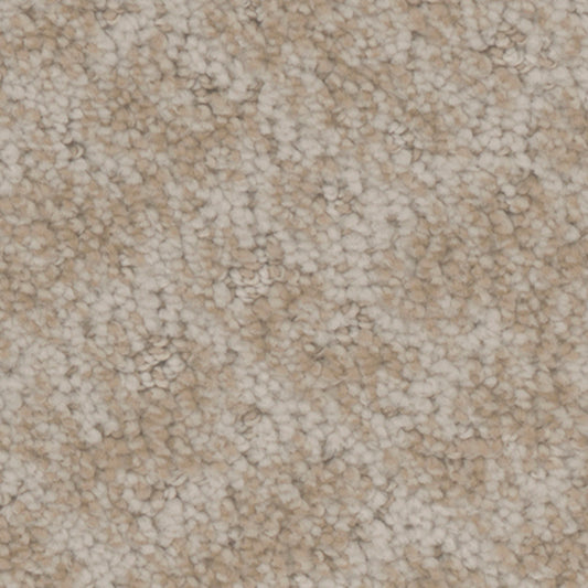 Tarkett Cheshire Storybook carpet swatch