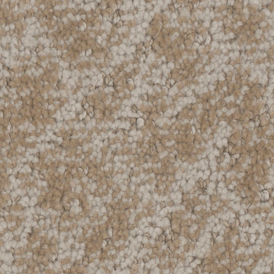 Tarkett Cheshire Quaint carpet swatch