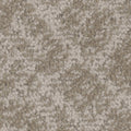 Tarkett Cheshire Charming carpet swatch