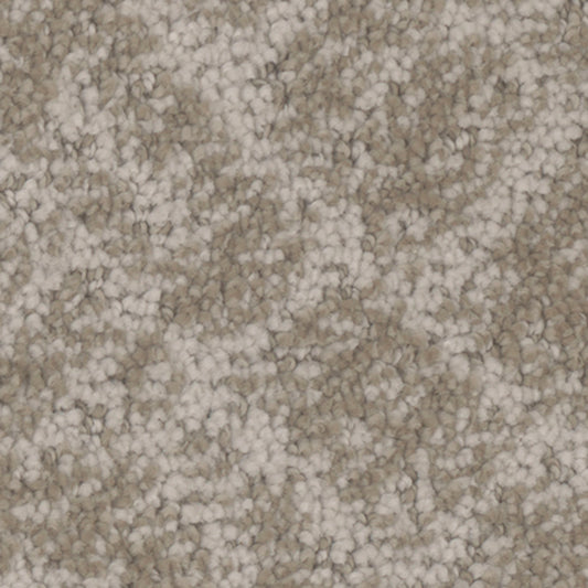 Tarkett Cheshire Charming carpet swatch