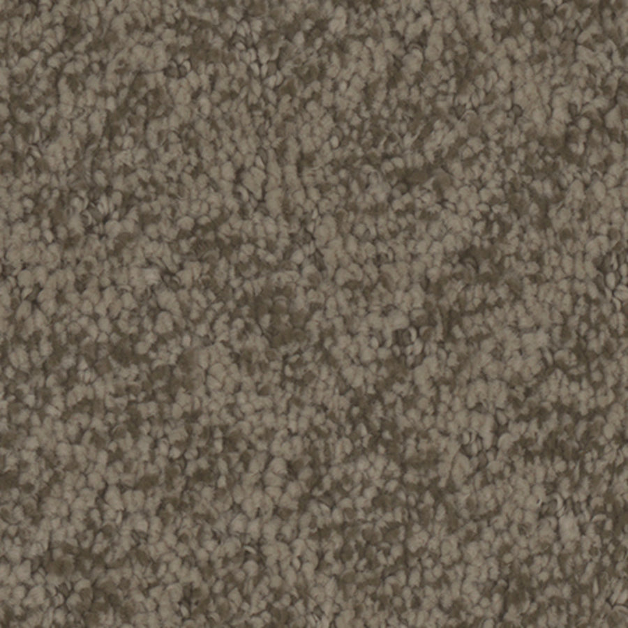 Tarkett Cheshire Historic carpet swatch
