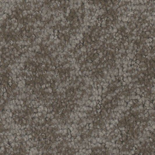 Tarkett Cheshire Antique carpet swatch