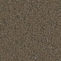Tarkett Cheshire Whimsical carpet swatch