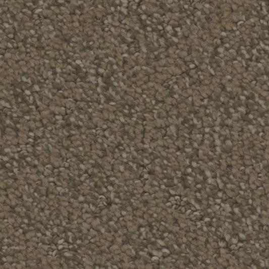 Tarkett Cheshire Whimsical carpet swatch