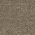 Tarkett Collective Connoisseur carpet swatch