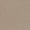 Tarkett Embellish Carved carpet swatch
