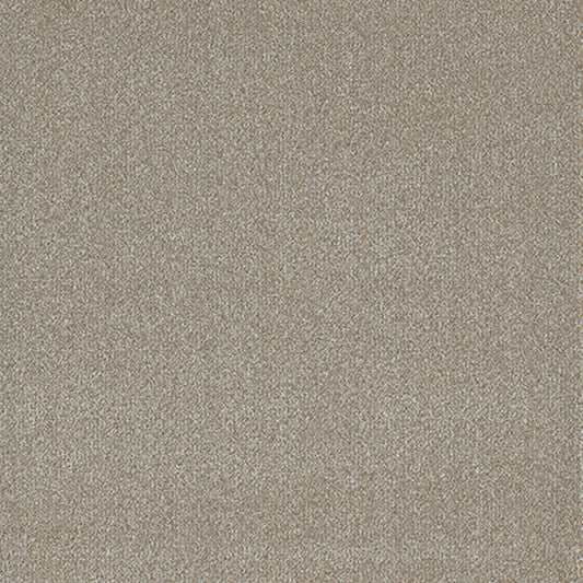 Tarkett Embellish Inscribe carpet swatch