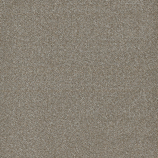 Tarkett Embellish Revered carpet swatch