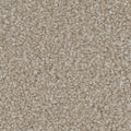 Tarkett Enamour Gratify carpet swatch