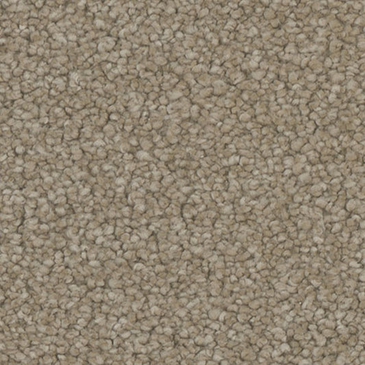 Tarkett Enamour Beauty carpet swatch